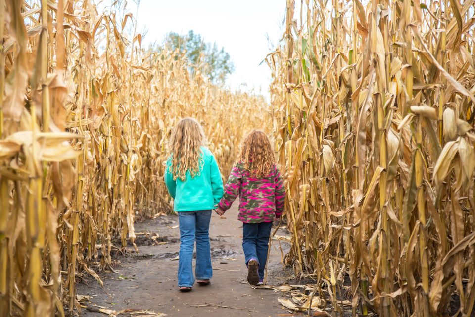 Layman Family Farms