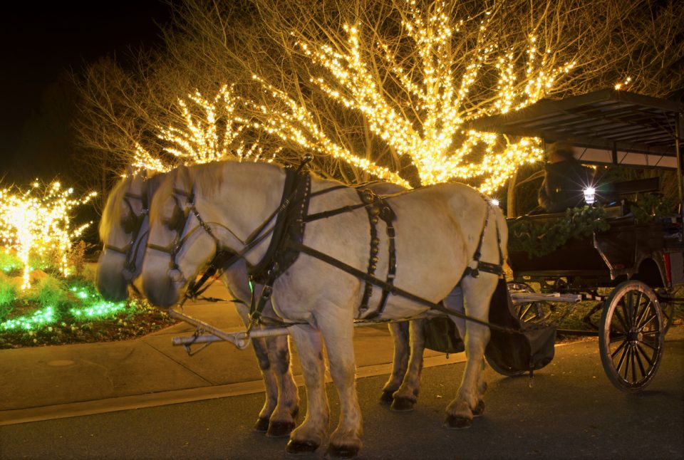 The Roanoke Times Dickens Of A Christmas Berglund Cars