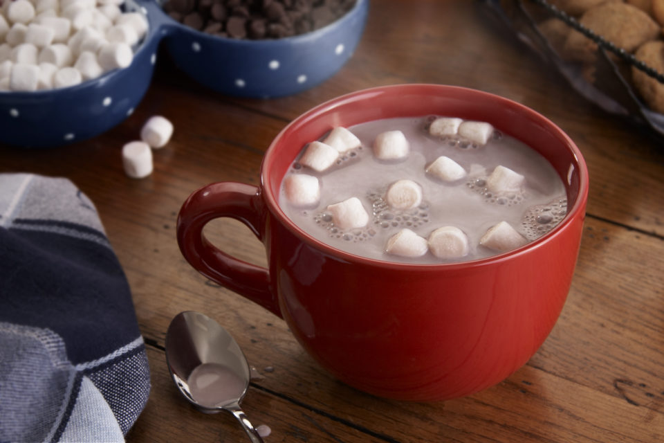 Cup of hot chocolate with marshmallows