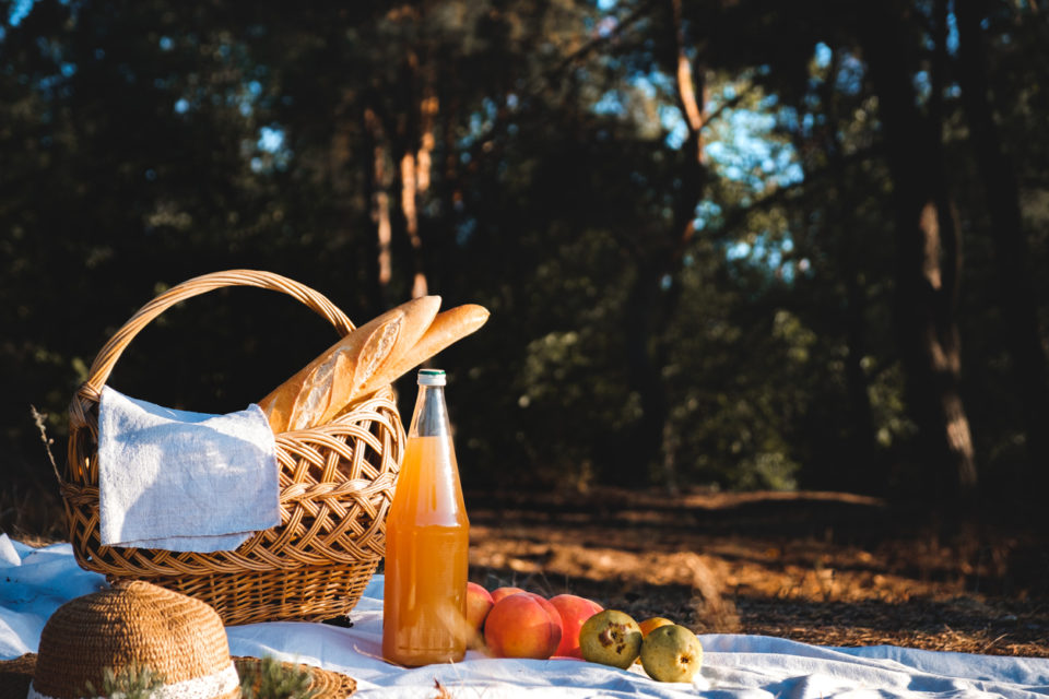 Picnic outdoors on a forest meadow.