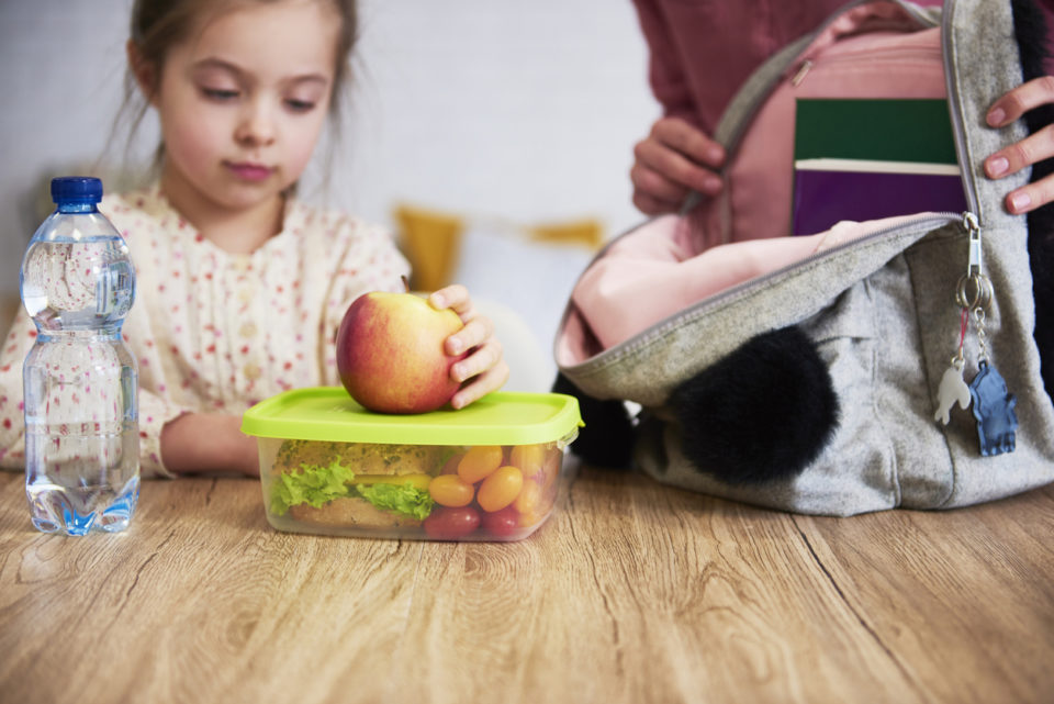 School lunch box with healthy food