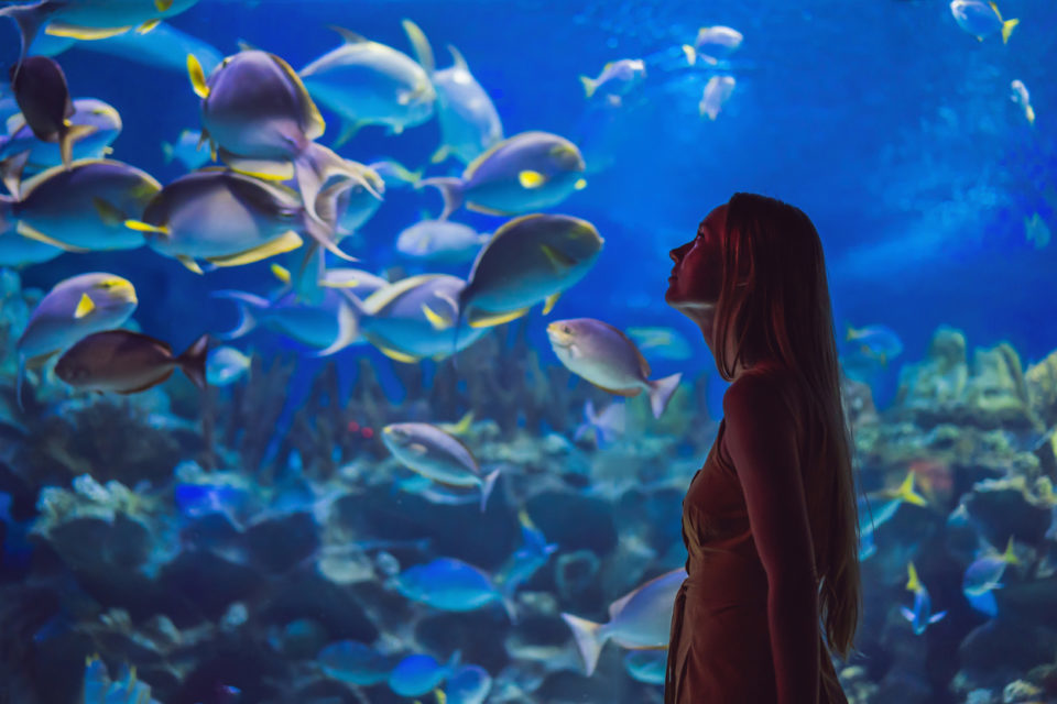 Young woman touches a stingray fish in an oceanarium tunnel