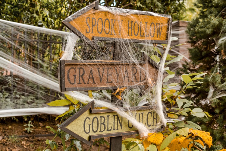 Halloween directional sign arrows covered with spider web