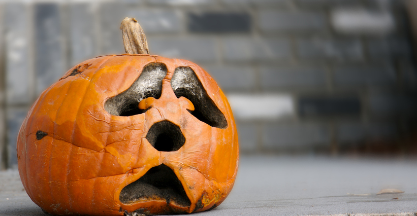 A sad decaying pumpkin waitng for the end of Halloween.