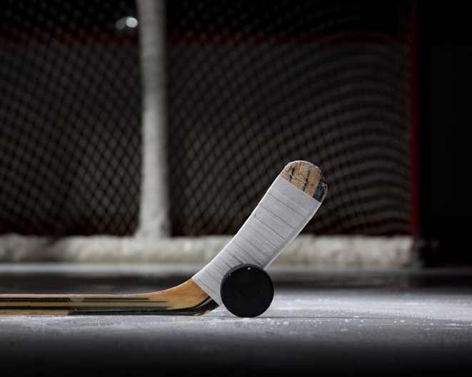 Hockey Puck, Stick, and Net (landscape)