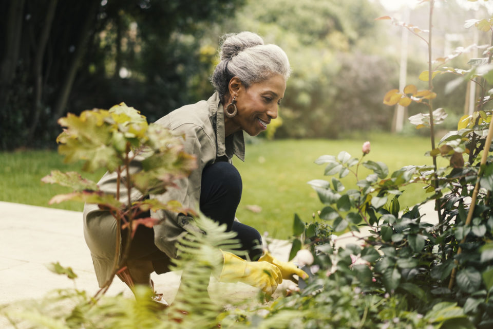Retired senior woman gardening in back yard
